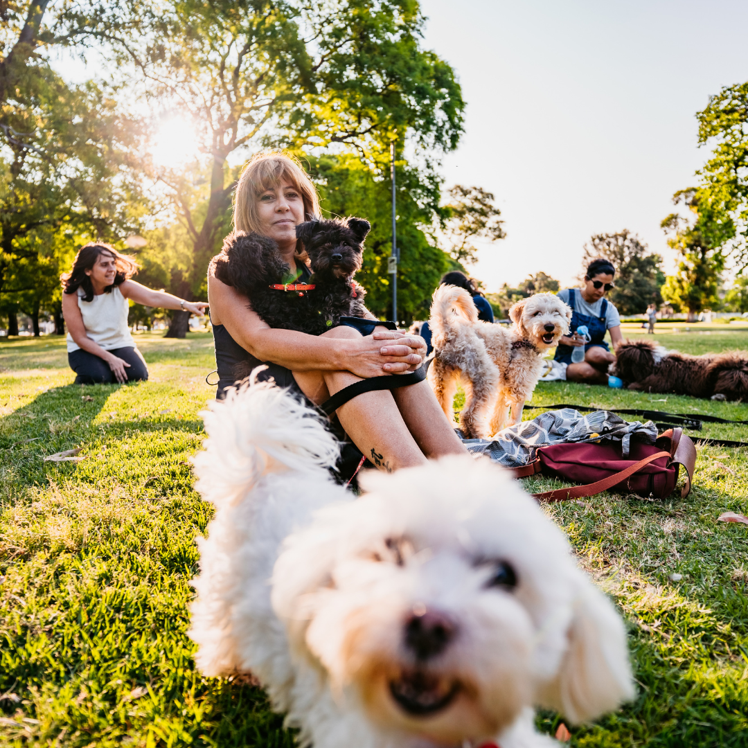 The Best Off-Leash Dog Parks in Abington, Cheltenham, and Upper Dublin